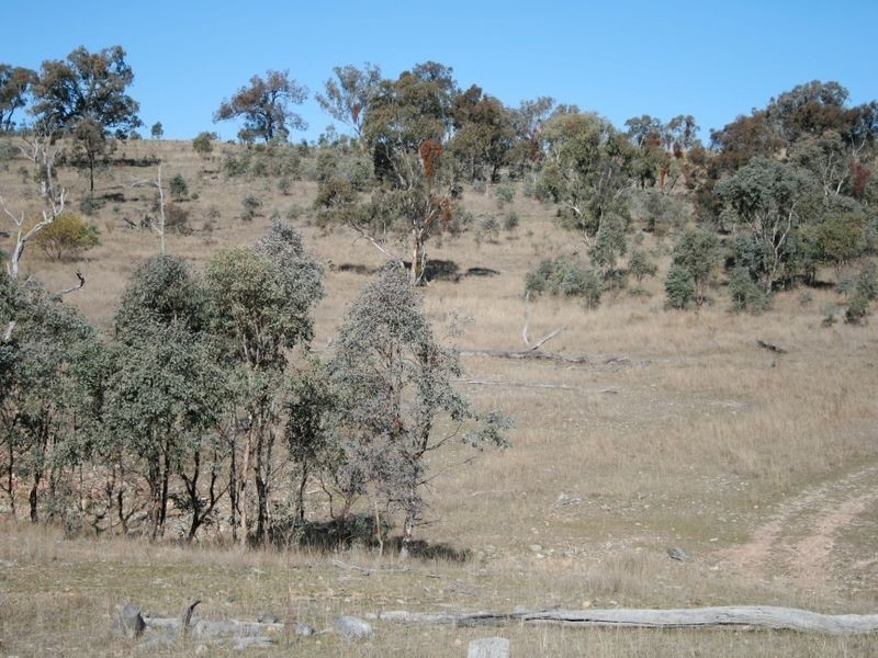 Stanthorpe QLD 4380