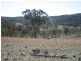 Stanthorpe QLD 4380