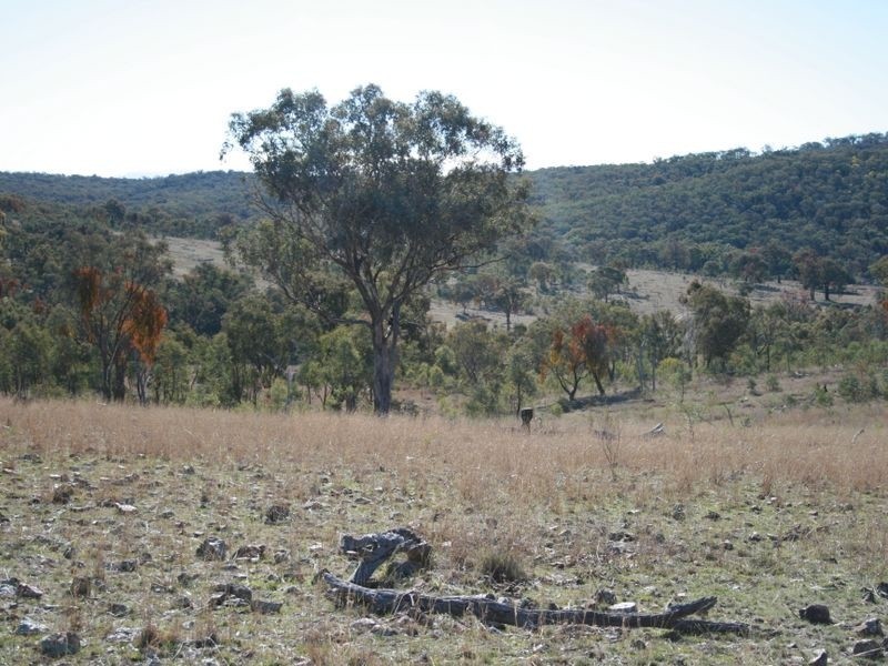 Stanthorpe QLD 4380