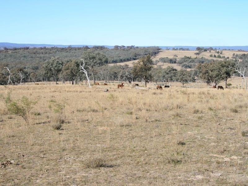 Stanthorpe QLD 4380