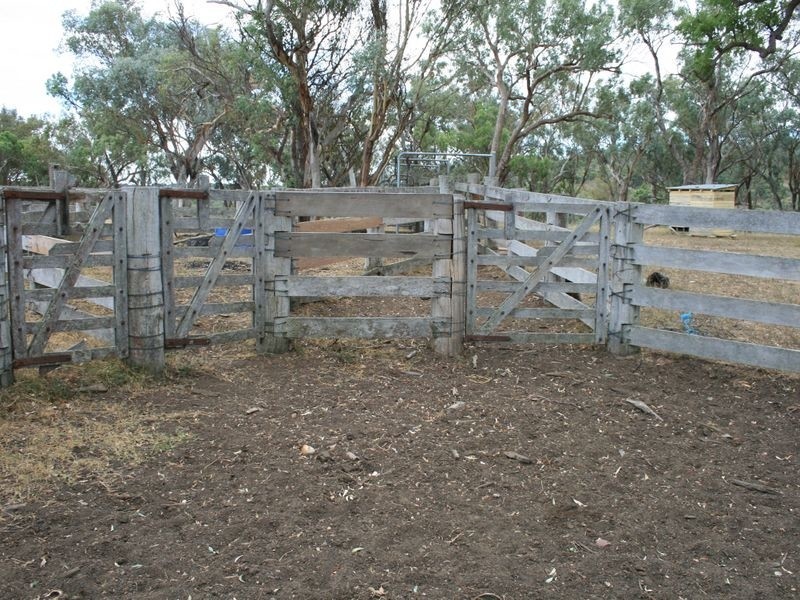 Stanthorpe QLD 4380