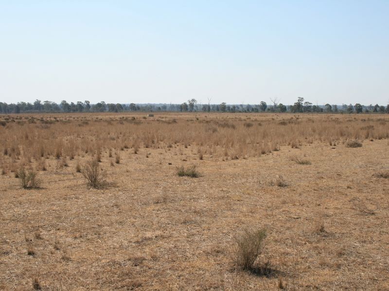 Warwick QLD 4370