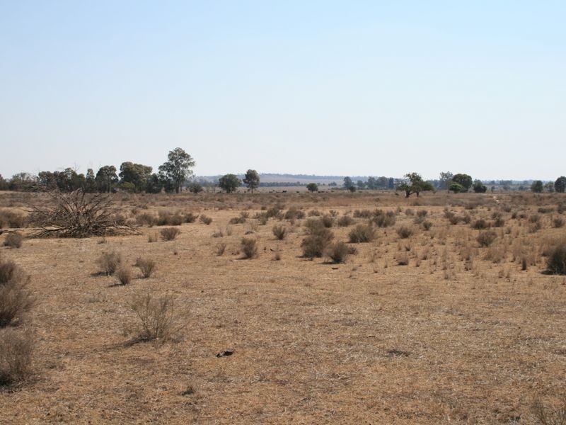 Warwick QLD 4370