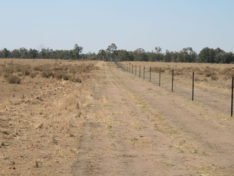 Warwick QLD 4370
