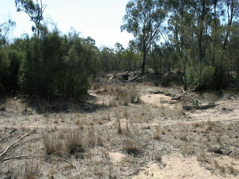 Warwick QLD 4370