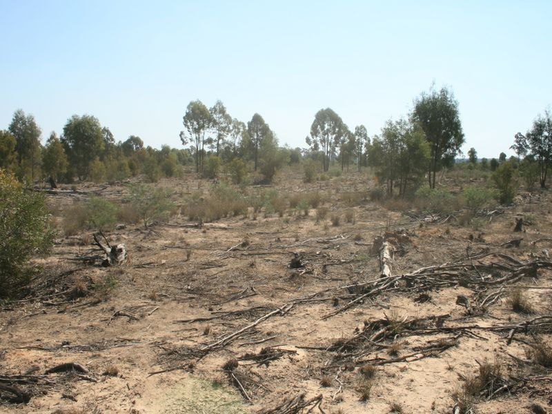 Warwick QLD 4370