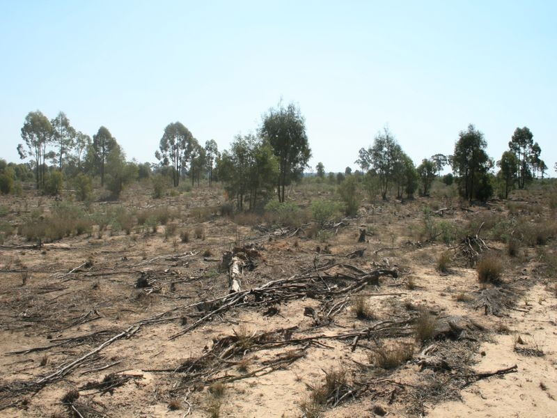 Warwick QLD 4370