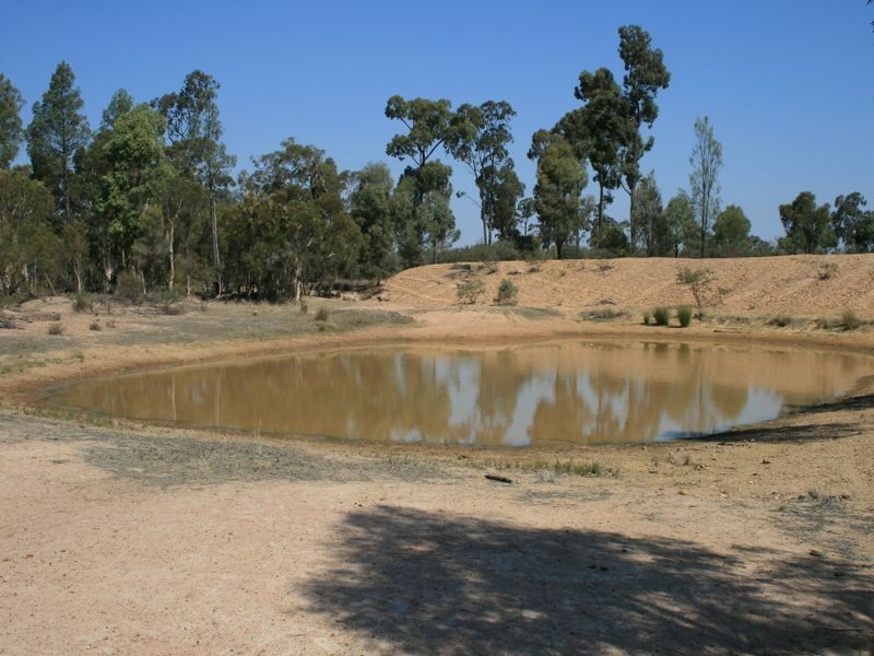 Warwick QLD 4370