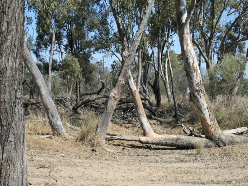 Warwick QLD 4370