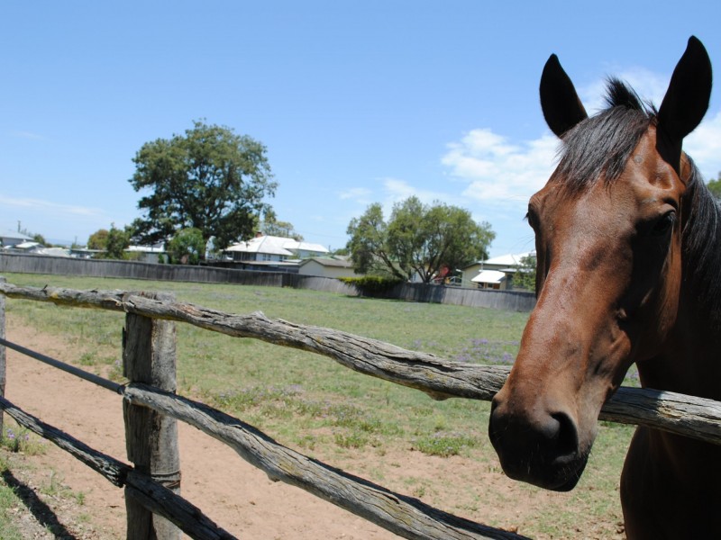10 Wood Street, Warwick QLD 4370