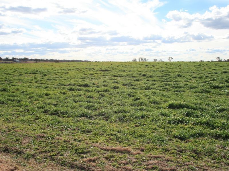 251 cullendore Rd, Warwick QLD 4370