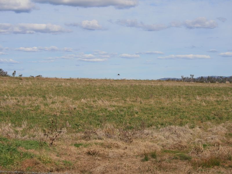 251 cullendore Rd, Warwick QLD 4370