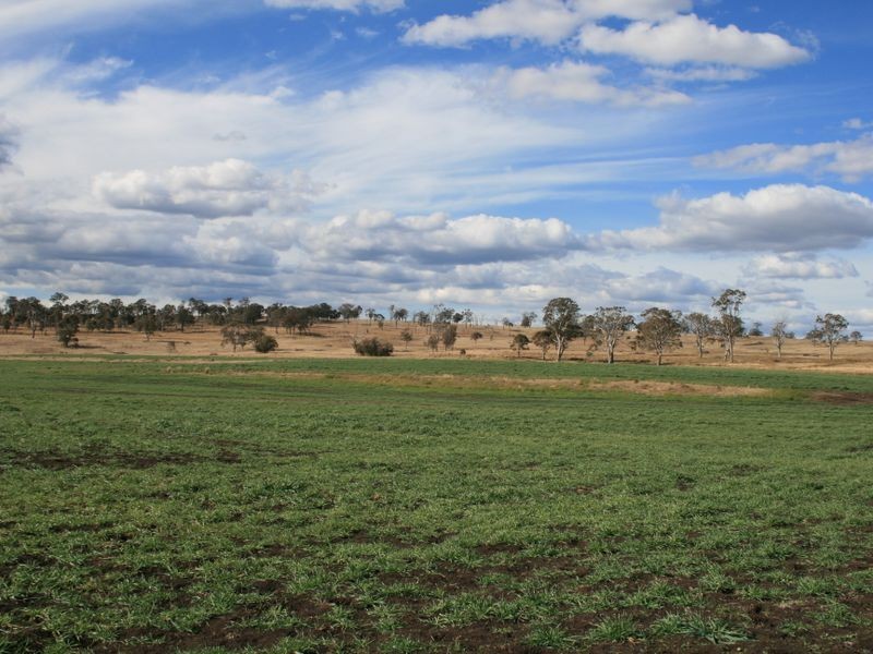 251 cullendore Rd, Warwick QLD 4370