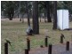 LOT 1 Ahern Lane, Warwick QLD 4370