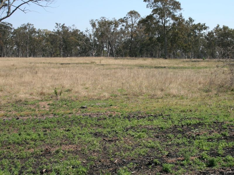 Warwick QLD 4370