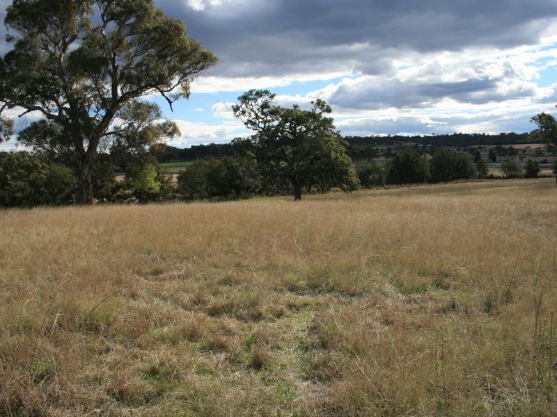 9 HOMESTEAD ROAD, Warwick QLD 4370