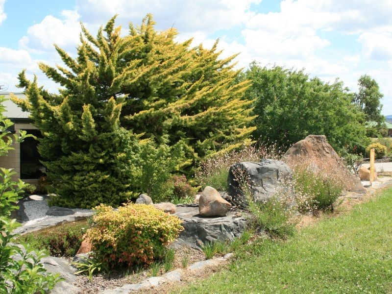 8-10 Henry Evans Drive, Warwick QLD 4370