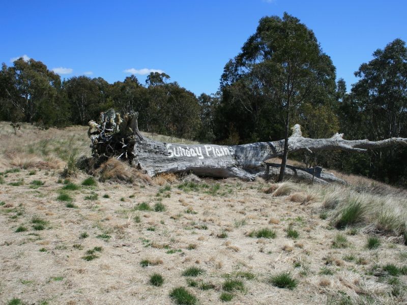 Warwick QLD 4370