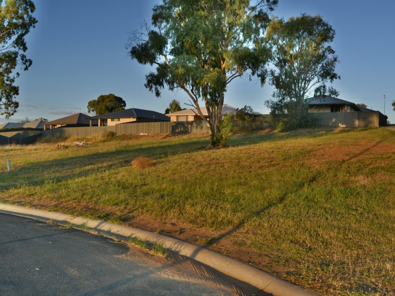 20 Pera Crescent, Warwick QLD 4370