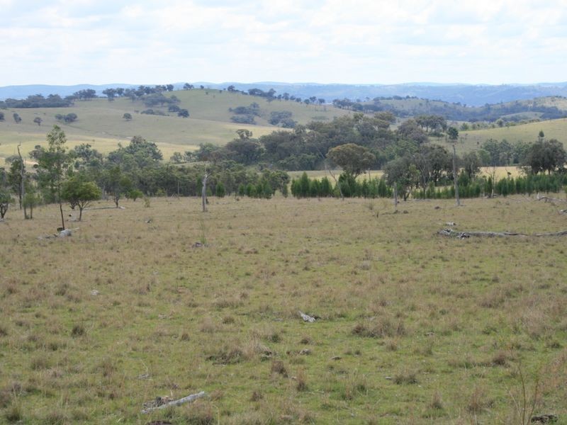 Lot 12 Springdale Road Glenlyon, Stanthorpe QLD 4380