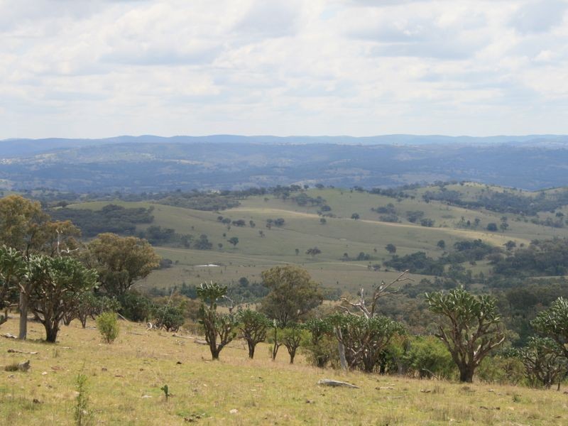 Lot 12 Springdale Road Glenlyon, Stanthorpe QLD 4380