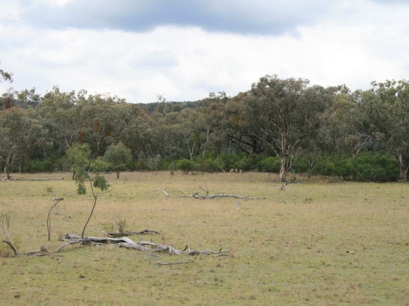 Lot 12 Springdale Road Glenlyon, Stanthorpe QLD 4380