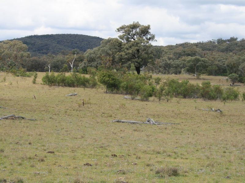 Lot 12 Springdale Road Glenlyon, Stanthorpe QLD 4380