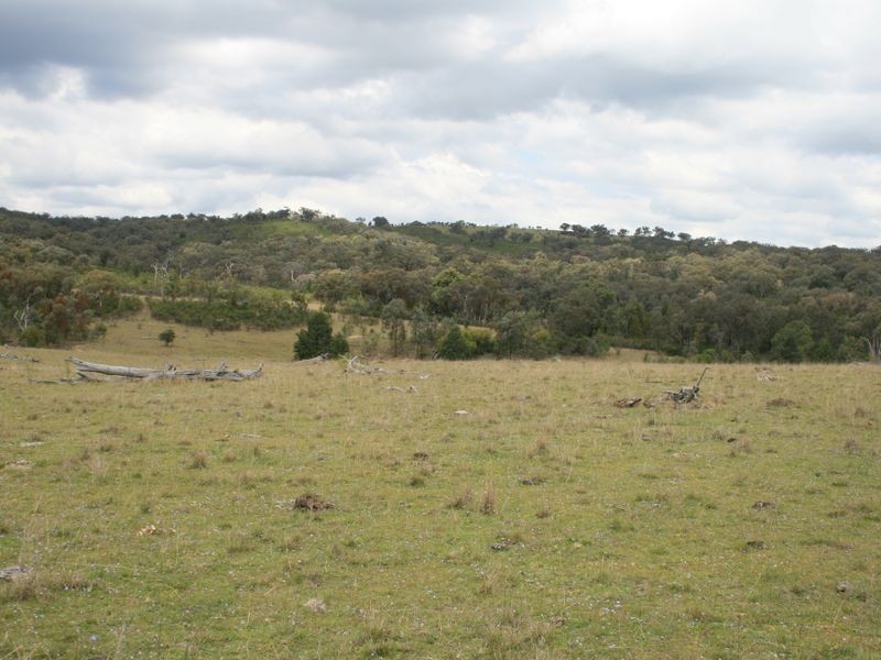 Lot 12 Springdale Road Glenlyon, Stanthorpe QLD 4380