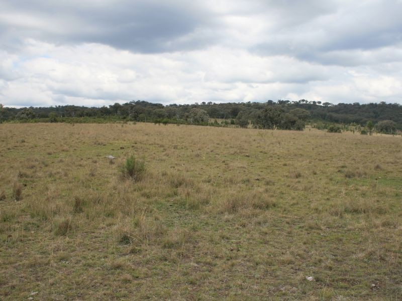 Lot 12 Springdale Road Glenlyon, Stanthorpe QLD 4380