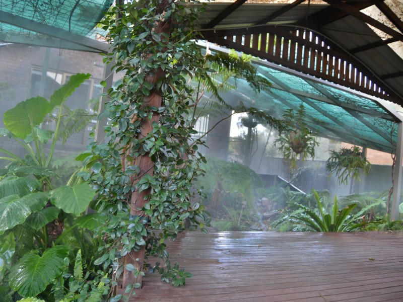 10 Ellwood Avenue, Warwick QLD 4370