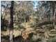 1265 CULLENDORE ROAD, Murrays Bridge QLD 4370