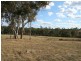 1265 CULLENDORE ROAD, Murrays Bridge QLD 4370