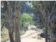 1265 CULLENDORE ROAD, Murrays Bridge QLD 4370