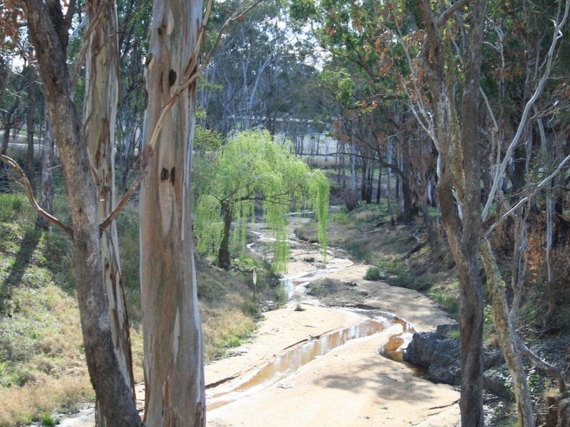 1265 CULLENDORE ROAD, Murrays Bridge QLD 4370
