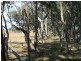 1265 CULLENDORE ROAD, Murrays Bridge QLD 4370