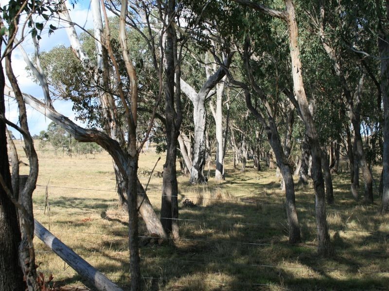 1265 CULLENDORE ROAD, Murrays Bridge QLD 4370