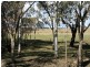 1265 CULLENDORE ROAD, Murrays Bridge QLD 4370