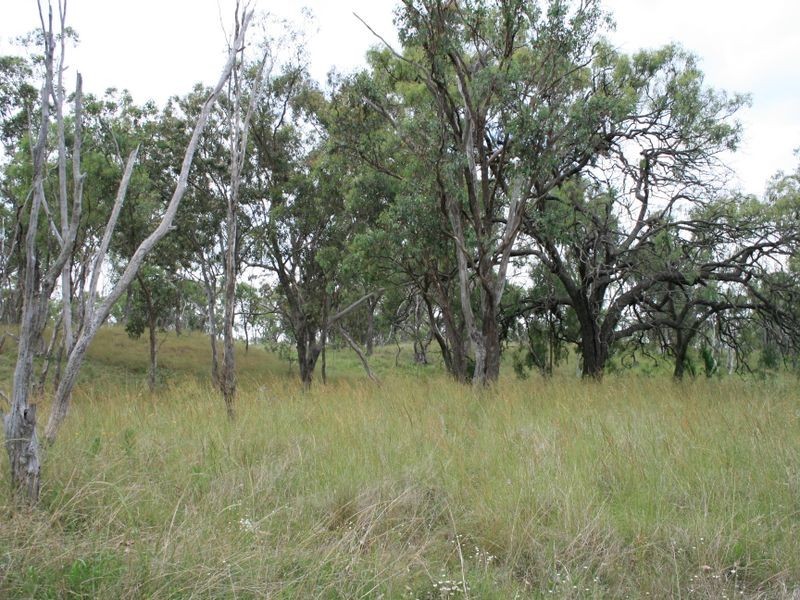 Warwick QLD 4370