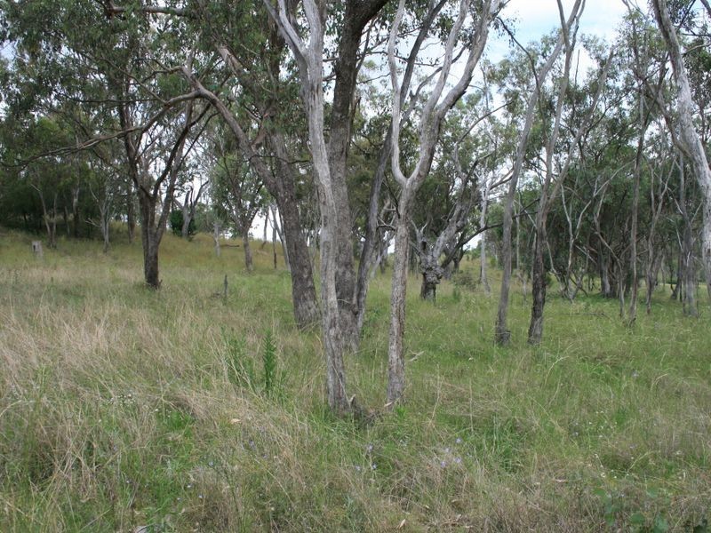 Warwick QLD 4370