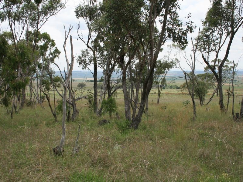 Warwick QLD 4370