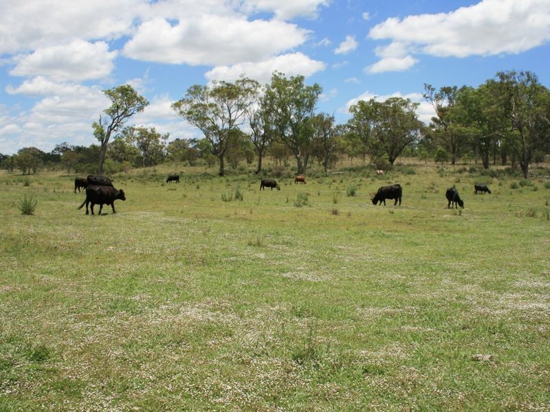 Lot 10 Wildash School Road, Warwick QLD 4370