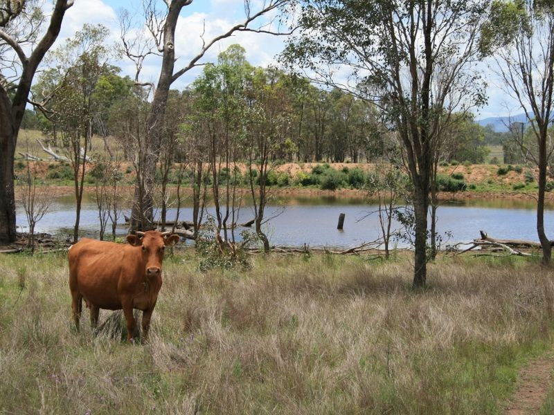 Lot 10 Wildash School Road, Warwick QLD 4370