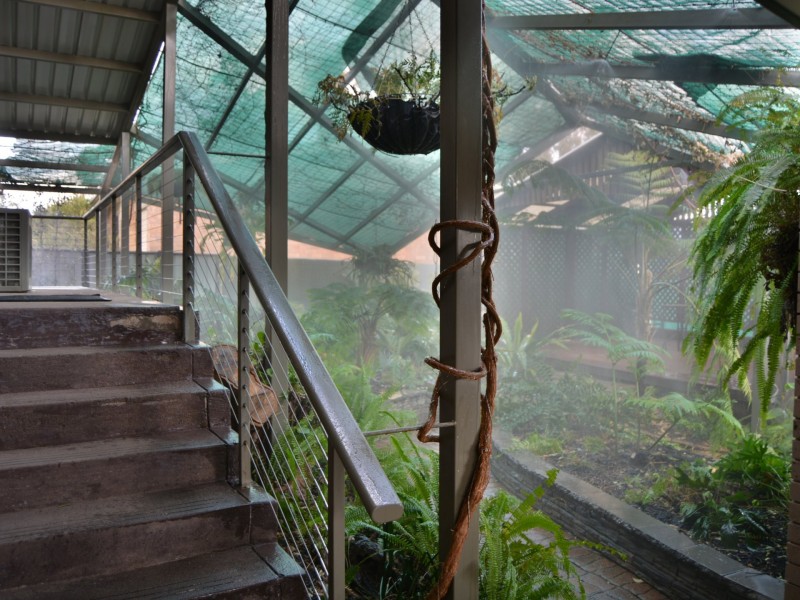 10 Ellwood Avenue, Warwick QLD 4370