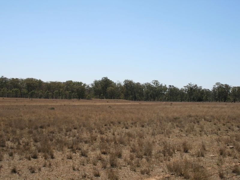 Warwick QLD 4370