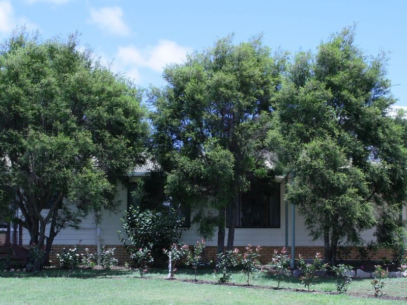 Warwick QLD 4370
