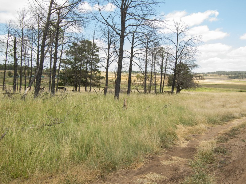 13070 Cunningham Hwy, Warwick QLD 4370