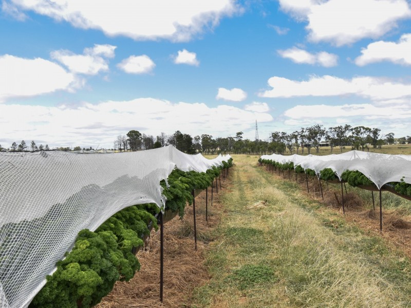 13070 Cunningham Hwy, Warwick QLD 4370