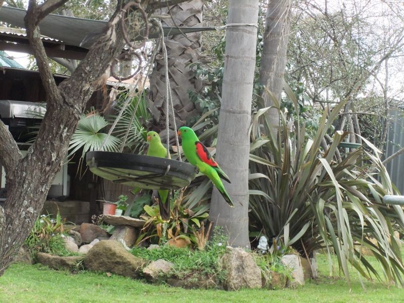 72a Canning St, Warwick QLD 4370