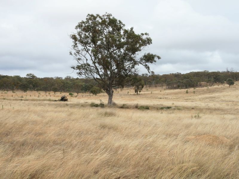 Warwick QLD 4370