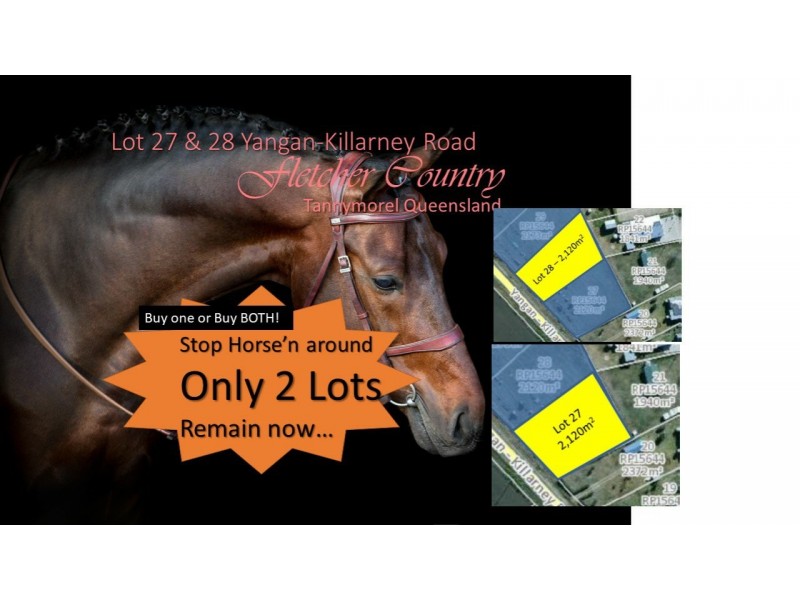 Lot 27 & L Yangan-Killarney Road, Tannymorel QLD 4372